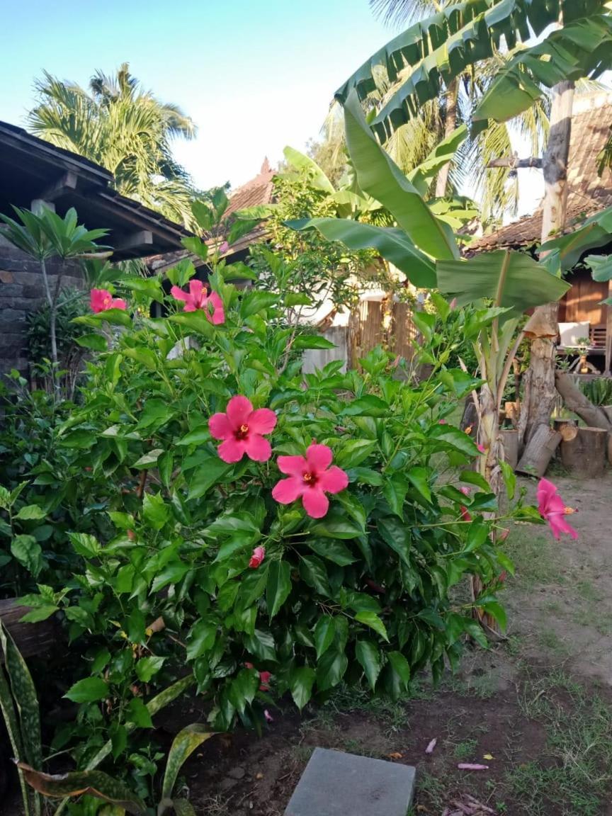 Blu D'Amare Gili Trawangan Exterior foto